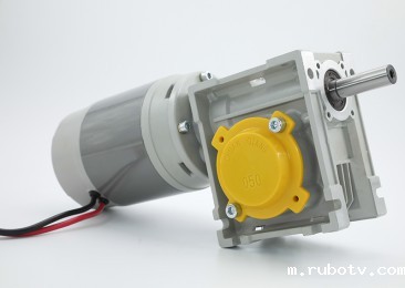 115ZYJ2026世界杯国足中场