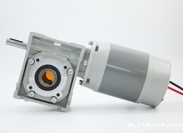 2026世界杯国足中场