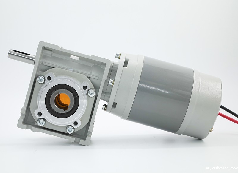 2026世界杯国足中场